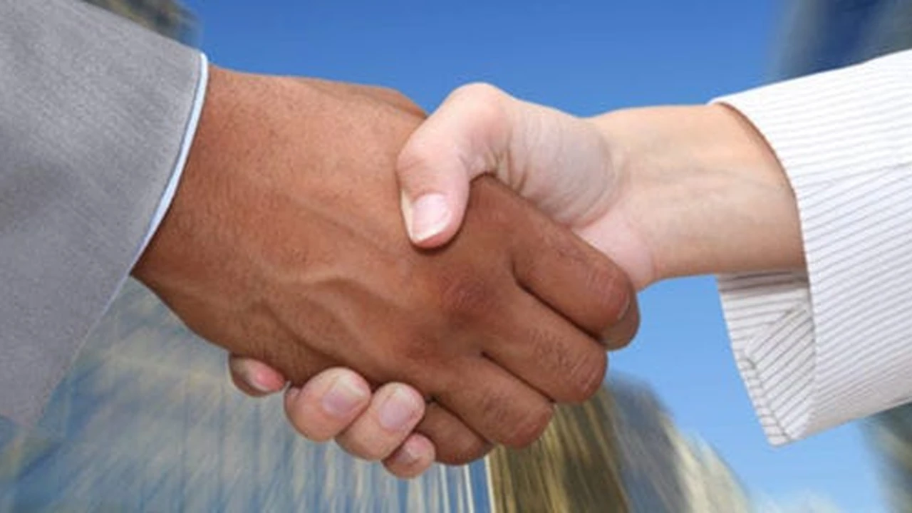 Two mint chocolate milkshakes with whipped cream and green sprinkles.